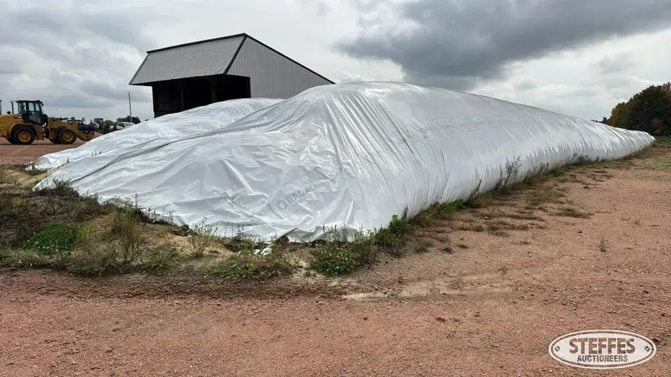 2025 Corn Silage Forage