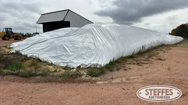 2025 Corn Silage