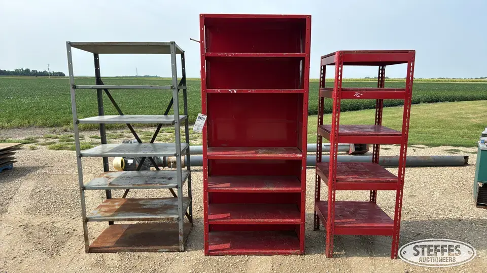 (3) Shelves Storage and Bench