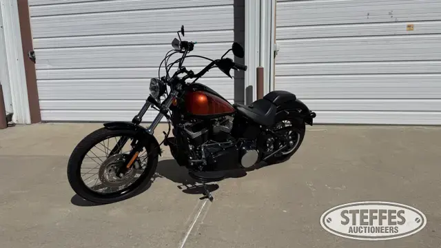 2011 Harley-Davidson FXS Blackline Softail