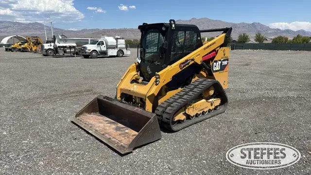 2019 CAT 289D