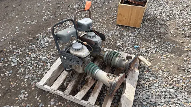 (2) Wacker BS60Y compactors