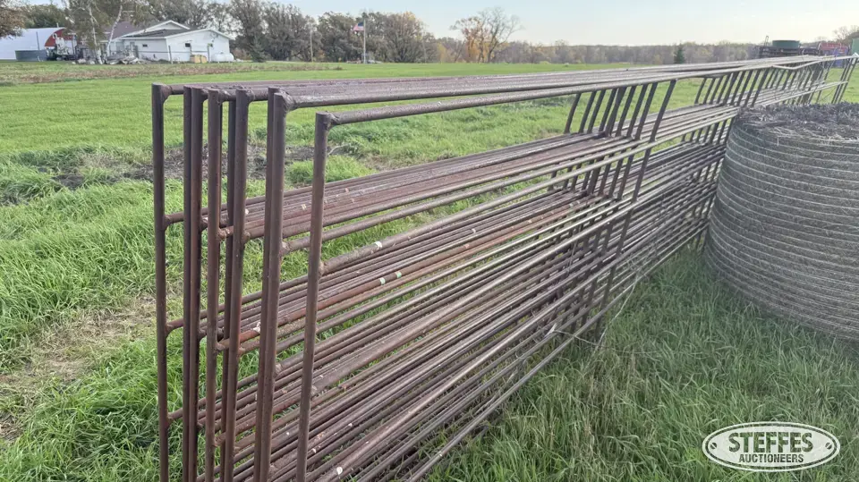 (10) Cattle panels Livestock Handling