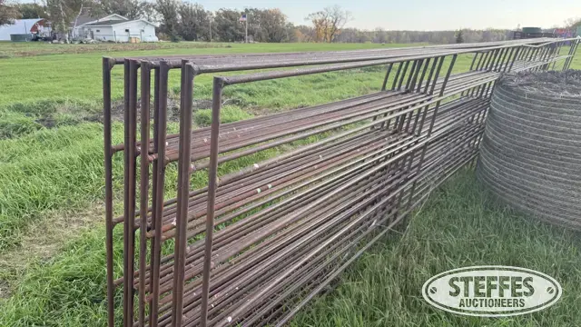 (10) Cattle panels