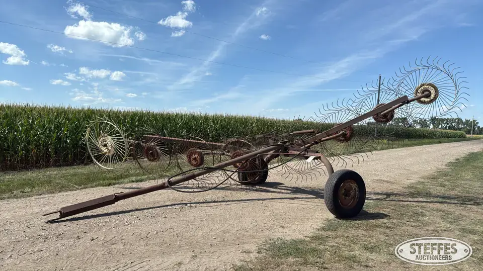 Side delivery rake