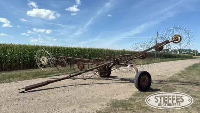 Side delivery rake