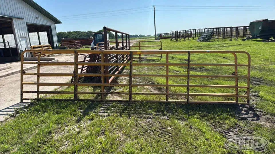 (2) Sioux gates Livestock Handling