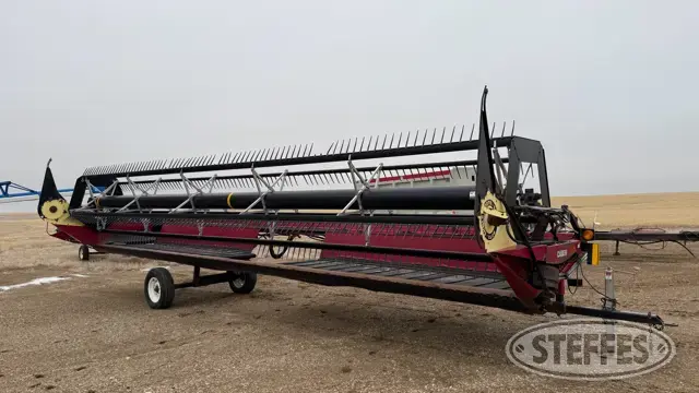 Case IH DH302