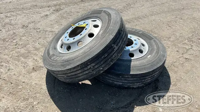 (2) 11R22.5 Tires