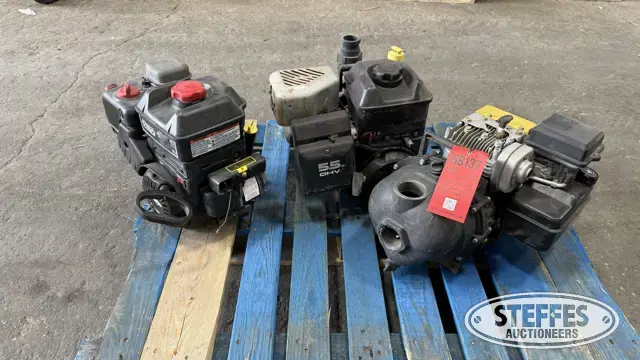 2009 Briggs & Stratton 1150 Snow Series