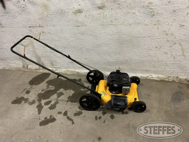 Poulan Pro