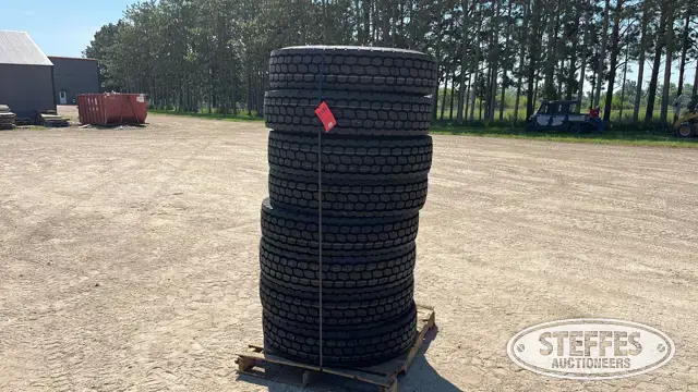 (8) Headway HLD811 11R22.5 tires