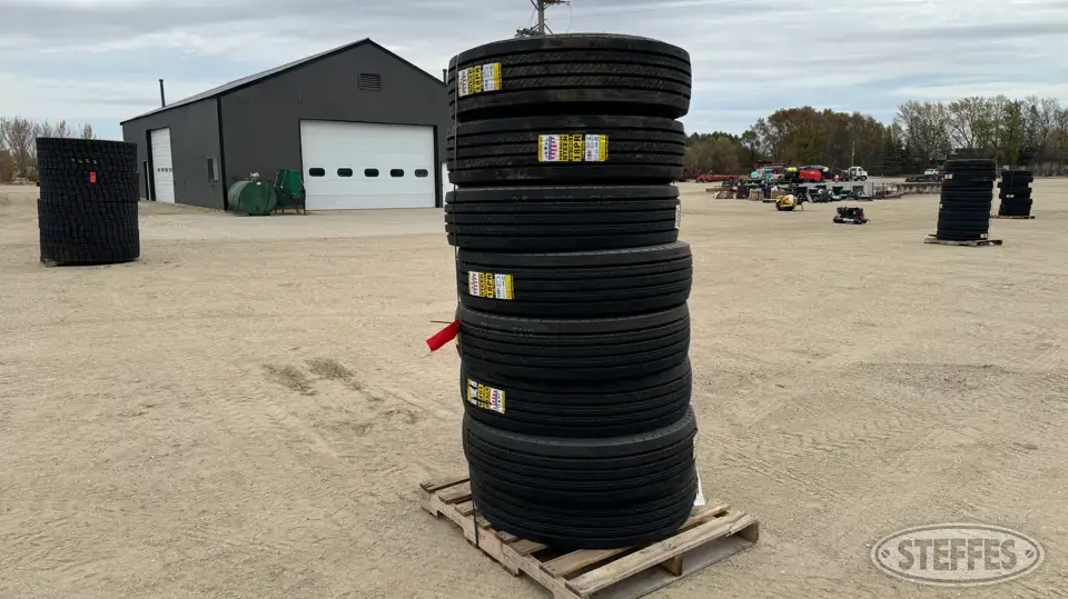 (8) Zwarthz 148/145L 295/75R22.5 Tires Truck Tire