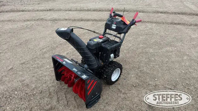 2005 Troy-Bilt Storm 3090 XP