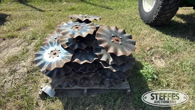 (21) 13-wave blades