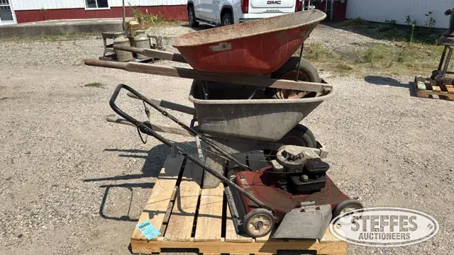 Murray 20
