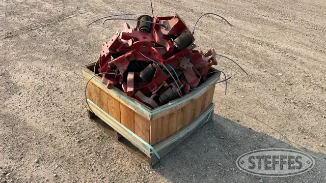 Case IH