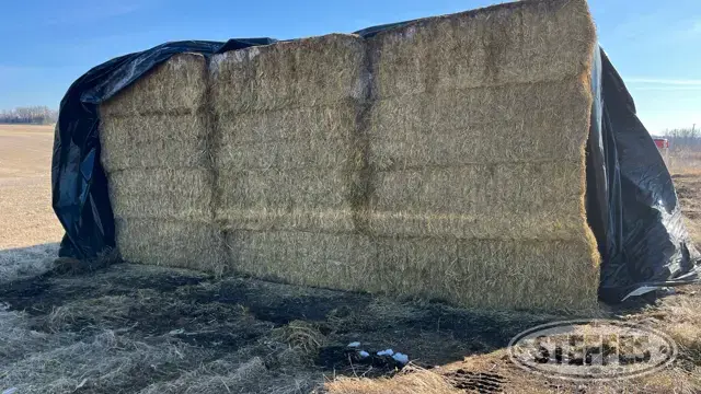 (42 Bales) 3x4x8 square