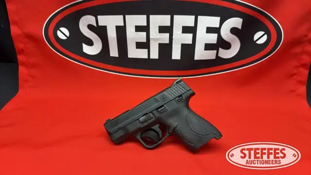 Smith & Wesson M&P Shield