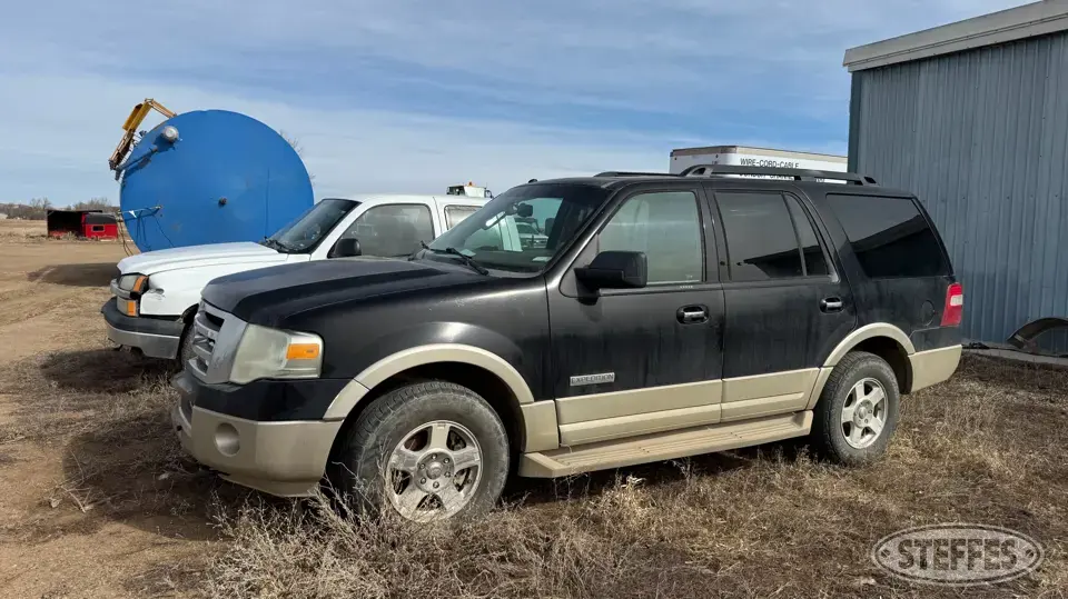 2008 Ford Expedition Eddie Bauer SUV