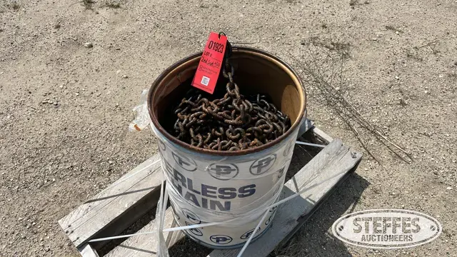 3/8" chain