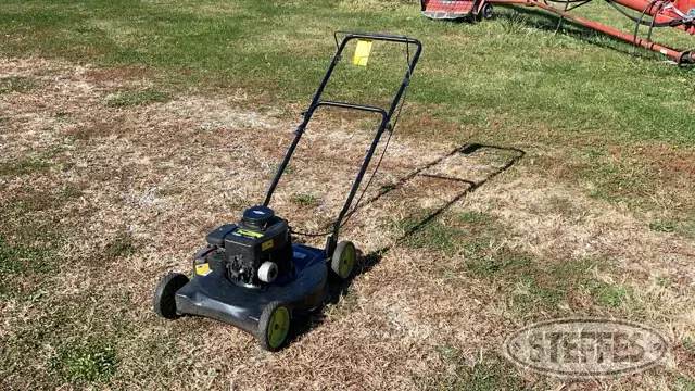 Poulan P0450N20S