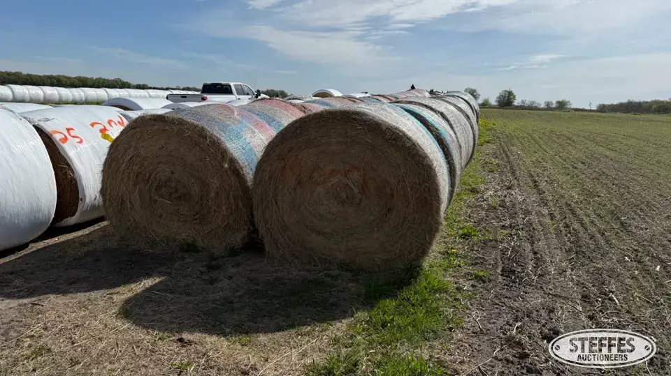 (32 Bales) 4x5 round Forage