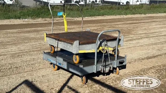 (2) Rolling carts