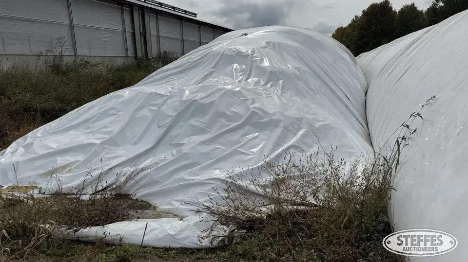 2025 Corn Silage Forage