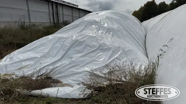 2025 Corn Silage