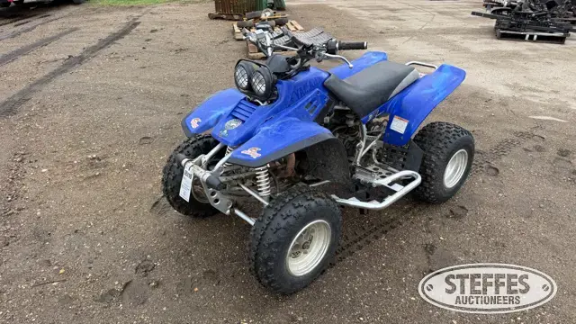 2002 Yamaha 350
