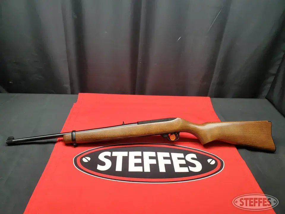 Ruger 10/22 Carbine Rifle
