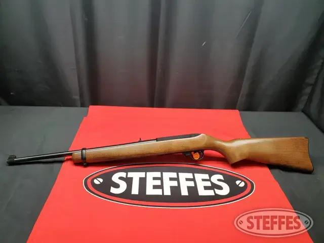 Ruger 10/22 Carbine