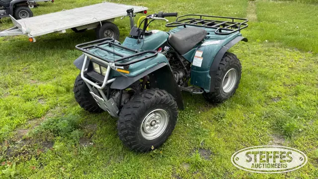 1994 Yamaha Timberwolf