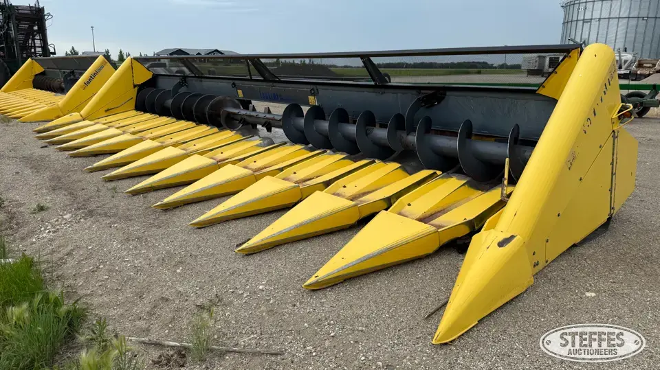 2011 Fantini Sunflower Head