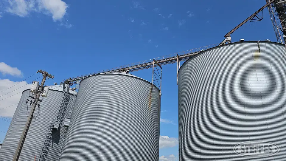 Transfer Conveyor w/Catwalk Grain Leg