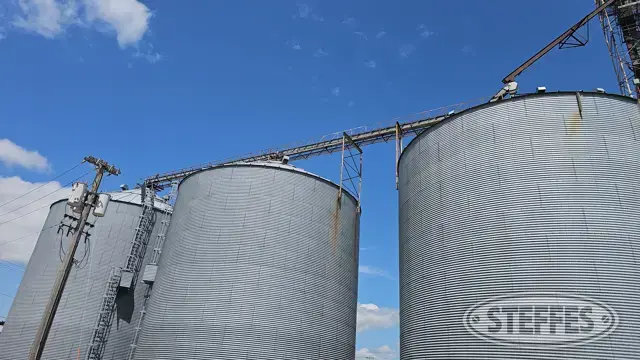 Transfer Conveyor w/Catwalk