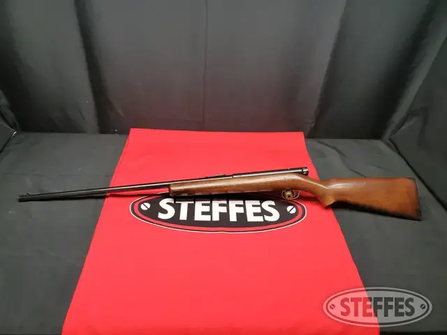 Winchester 74