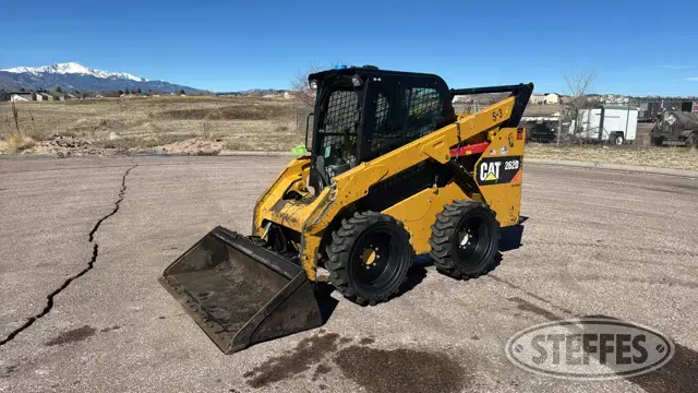 2016 CAT 262D