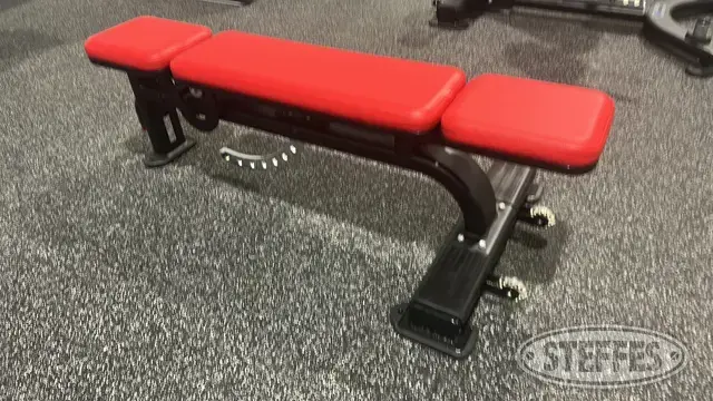 Nautilus multi-adjustable bench