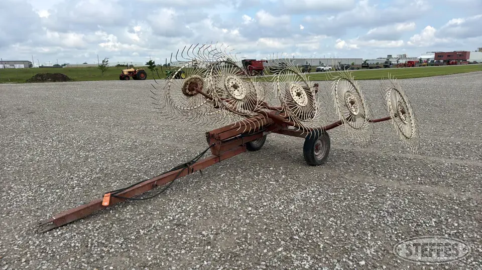 Sitrex H-94 Rake