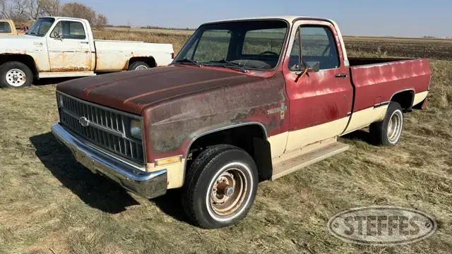 1981 Chevrolet Scottsdale 10