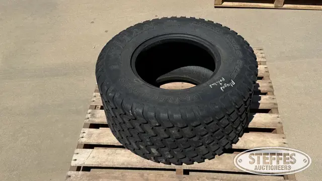 Titan Multi Trac 31x13.50-15 tire