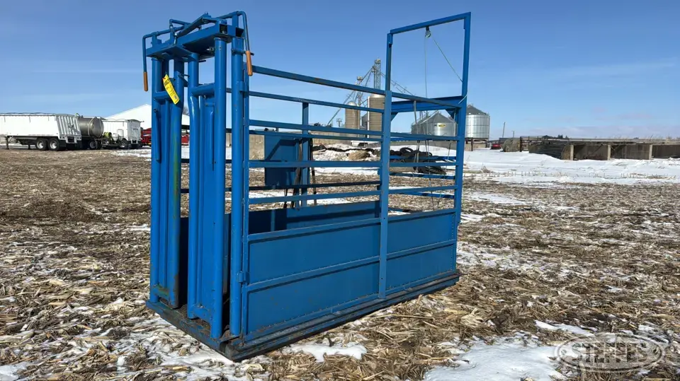 Cattle scale Squeeze Chute
