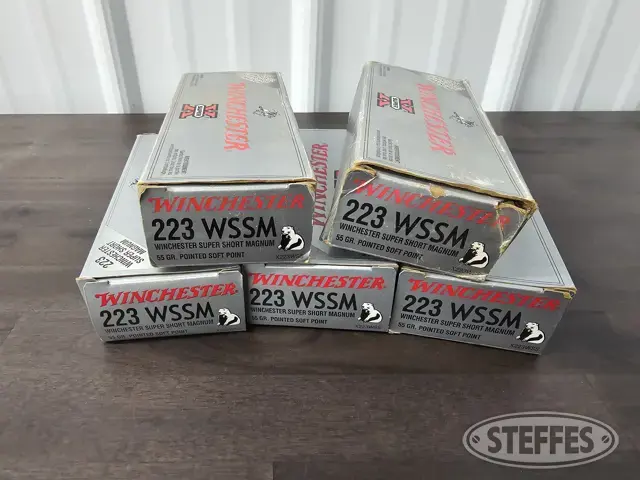 .223 WSSM