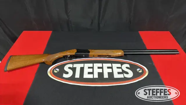 Savage Arms 555
