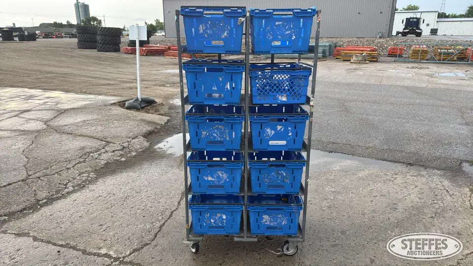 Rolling cart Storage and Bench