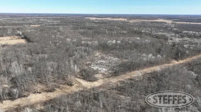 Morrison County, MN – Mt Morris Township