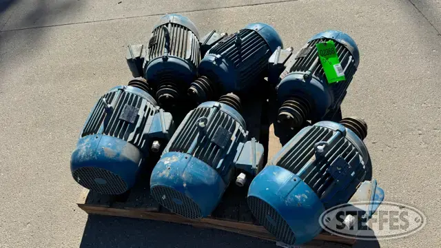(6) Weg Electic Motors