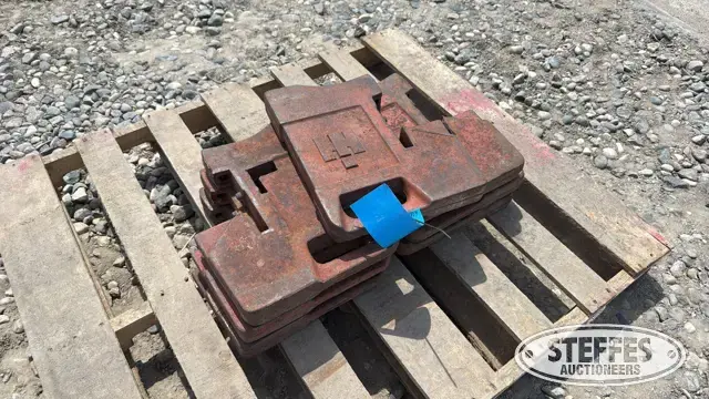 (7) International suitcase weights
